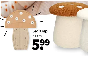 ledlamp