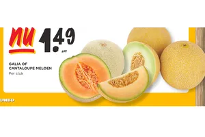 galia of cantaloupe meloen