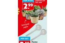 papieren pot