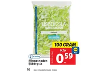 ijsbergsla