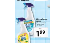 allesreiniger spray