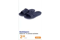 badslippers
