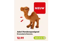 dromedaris kammie