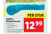 agility hindernissen