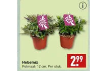 hebemix