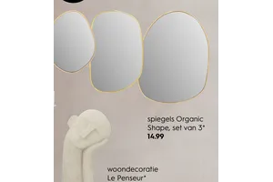 spiegels organic shape