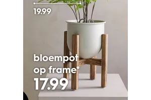 bloempot op frame