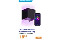lsc smart connect outdoor wandlamp