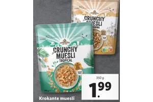 crunchy muesli tropical