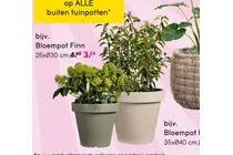 bloempot finn
