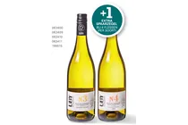 cotes de gascogne