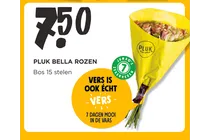 pluk bella rozen