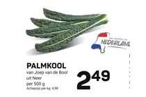 palmkool