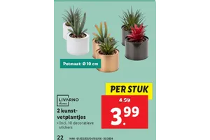 kunst vetplantjes