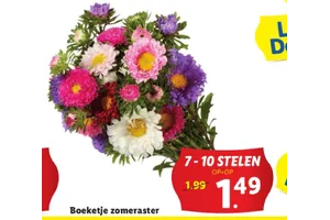 boeketje zomeraster