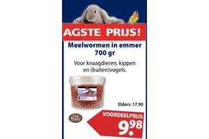 meelwormen