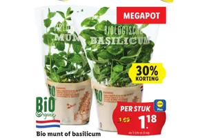 biologische munt of basilicum