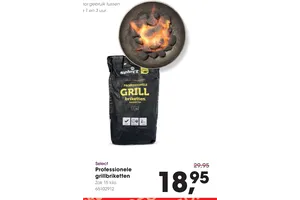 professionele grillbriketten