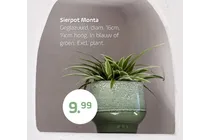 sierpot monta