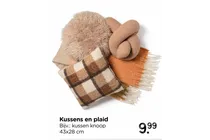 kussens en plaid