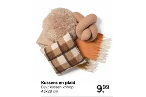 kussens en plaid