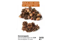 dennenappels