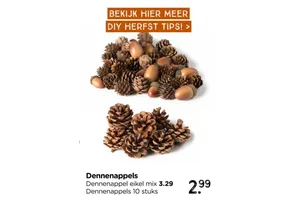 dennenappels