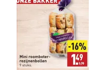 mini roomboter rozijnenbollen