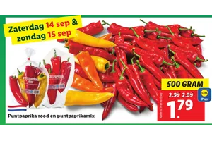 puntpaprika rood