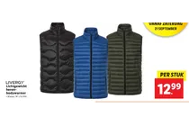 lichtgewicht heren bodywarmer