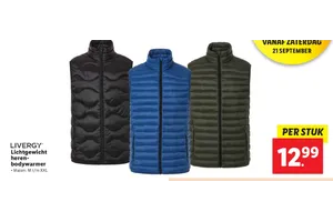 lichtgewicht heren bodywarmer