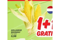 hollandse maiskolf