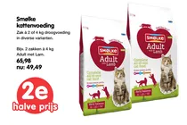 sm lke adult kattenvoeding