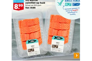 zalmfilet aanbieding