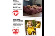 regenjas