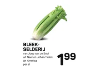 breek selerij