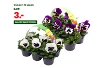 violen