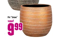 pot solano