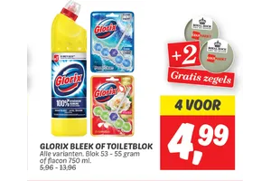 glorix bleek of toiletblok