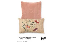 sierkussen met blokjies