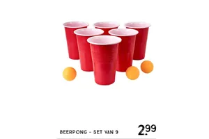 beerpong set