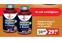 shiitake reishi
