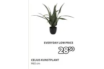 celius kunstplant
