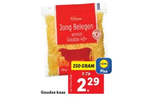 jong belegen geraspt goudse 48 kaas