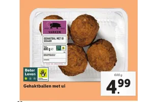 gehaktballen met ui