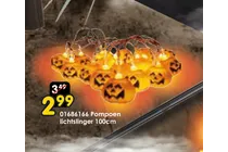 pompoen lichtslinger