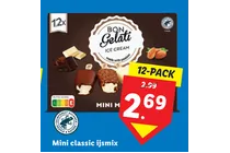 bon gelati mini classic ijsmix