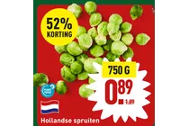 hollandse spruiten