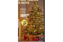 kerstboom grandes fir