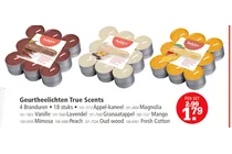 geurtheelichten true scents